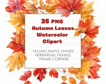 Watercolor Maple Leaves Clipart Bundle: Autumn PNG Graphics (Digital Download