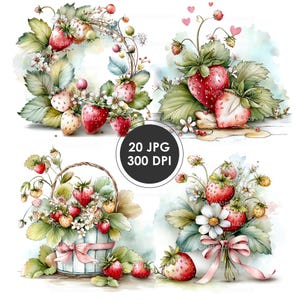 Watercolor Strawberry Clipart Set | Kitchen Decor & Planner Design | 20 JPG Files | Digital Download