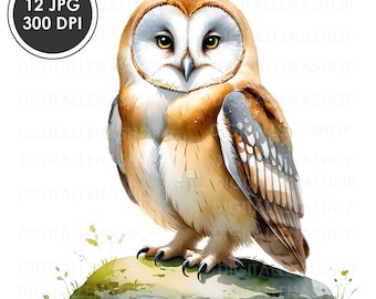 Watercolor Barn Owl Clipart: 12 JPG Bird Illustrations (Digital Download)