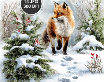 May include: A watercolour painting depicts a red fox in a snowy winter landscape. The fox is walking through the snow, with evergreen trees and red berries visible. The image includes the text "14 JPG 300 DPI" in a circular badge.