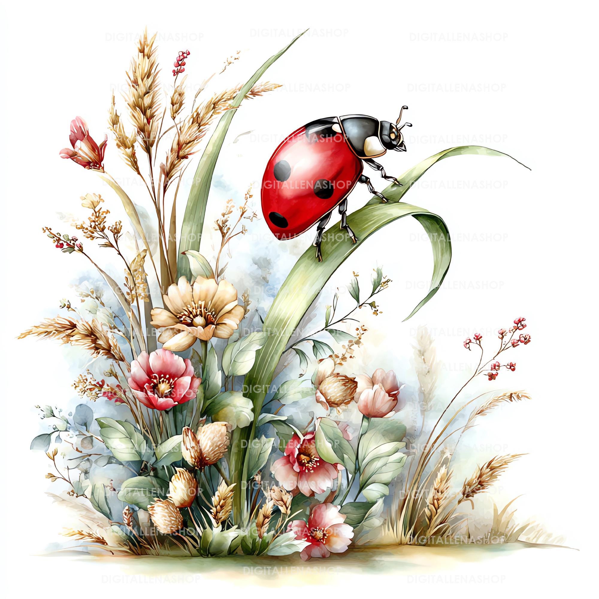 Spring Ladybug Watercolor Clipart Set | Garden Insect Art | Journal ...