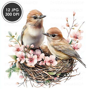 Clipart fleurs printemps nids d'oiseau 12 JPG, clipart aquarelle nids | Imprimable, journal indésirable, scrapbooking, fabrication de cartes, téléchargement numérique