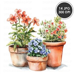 Puede incluir: Tres macetas de terracota con diferentes flores. La primera maceta tiene flores naranjas, la segunda maceta tiene flores azules y la tercera maceta tiene flores rojas.