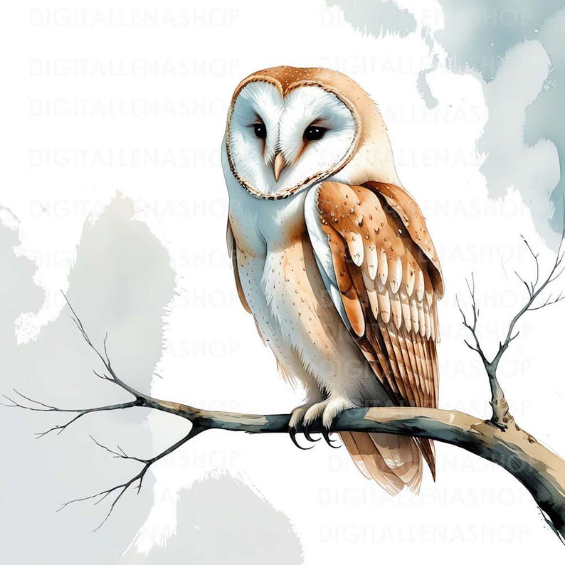 Washed Owl Watercolor Barn Owl Clipart: 12 JPG Bird Illustrations (digital ...