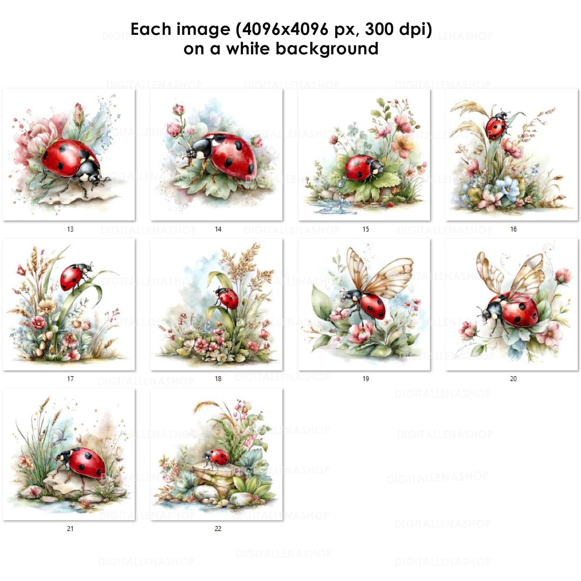 Spring Ladybug Watercolor Clipart Set | Garden Insect Art | Journal ...