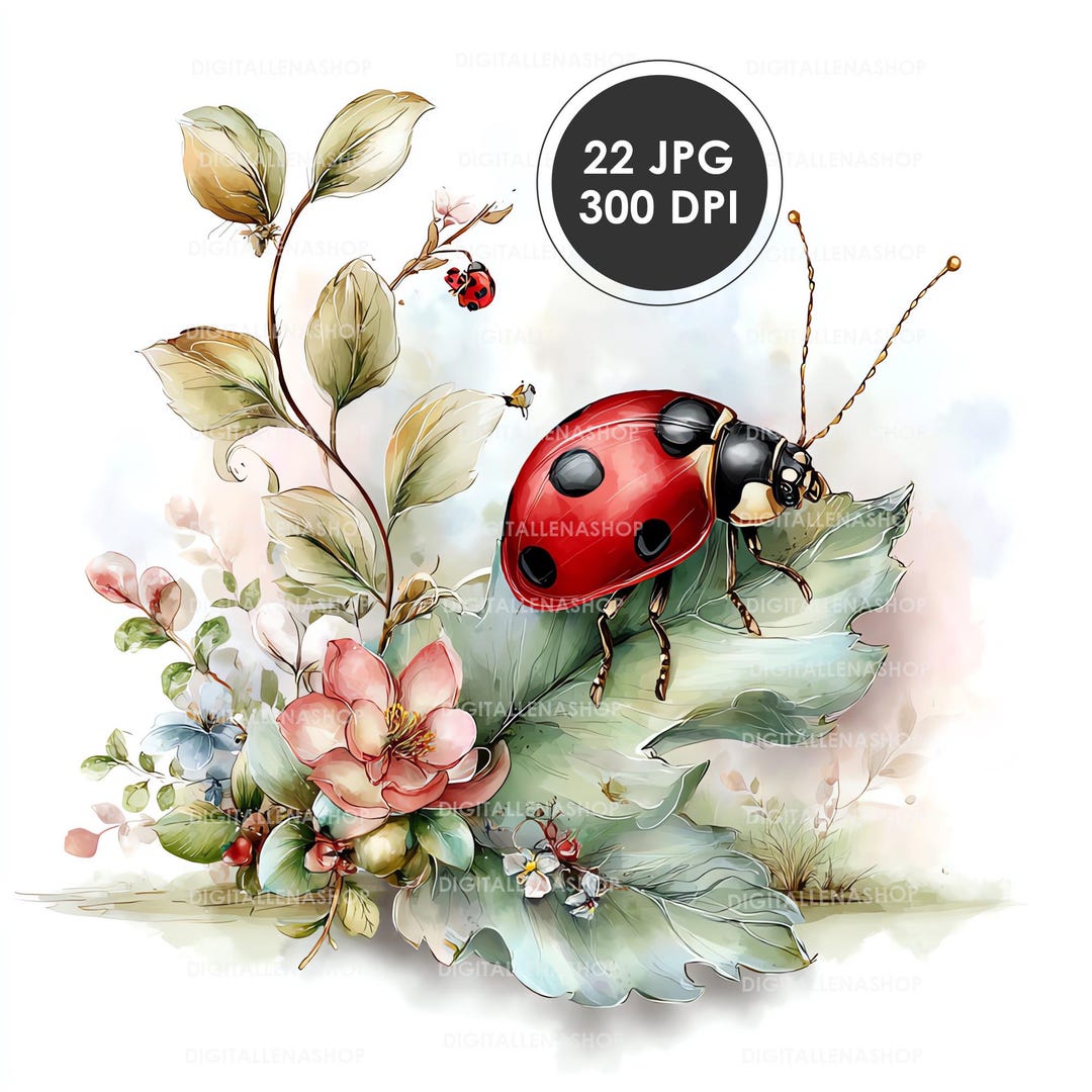 Spring Ladybug Watercolor Clipart Set | Garden Insect Art | Journal ...