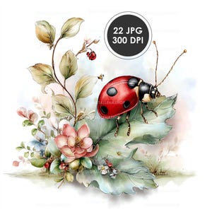 Peut inclure: Illustration à l'aquarelle d'une coccinelle rouge à pois noirs, posée sur une grande feuille verte. L'image comprend des fleurs, des feuilles et le texte "22 JPG 300 DPI" dans un cercle noir, créant un design sur le thème de la nature.