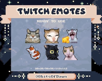 Funny Cat Meme Twitch Emotes - Ready to Use - ZIP file