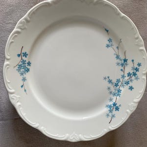 Peut inclure: Une assiette plate en porcelaine blanche avec un motif floral délicat représentant des fleurs bleues de myosotis. L'assiette a un bord festonné et un rebord surélevé.