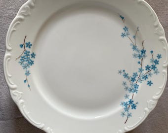 Service d'assiettes en porcelaine de Bavière, motifs de roses