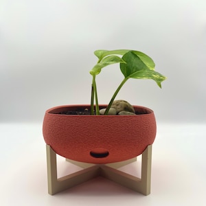 Può includere: Un piccolo vaso rotondo, color terracotta, con una superficie strutturata, che contiene una pianta verde con foglie variegate. Il vaso poggia su un supporto chiaro a forma di croce beige. Lo sfondo è bianco.