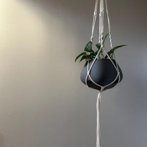 May include: A hanging macrame plant holder with a dark gray pot containing green leafy plants. The macrame is white and knotted, with a long tassel hanging below. The background is a plain, light gray wall.