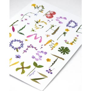 Ilustración del alfabeto abecedario, herbario botánico de flores, decoración de habitaciones infantiles, decoración de plantas