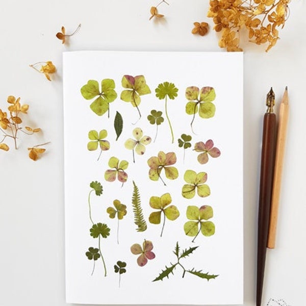 Carnet de notes botanique format A5 avec impression de fleurs séchées d'hortensia, Petit cadeau papeterie