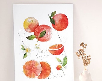 Illustration orange et fleur d'oranger aquarelle botanique fruit, Affiche décorative murale cuisine