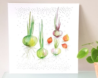 Onion watercolor illustration art print, Veggie kitchen decor