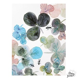 Illustration aquarelle botanique fleur fourmi, Affiche murale poétique et colorée, Cadeau illustration pour elle image 3