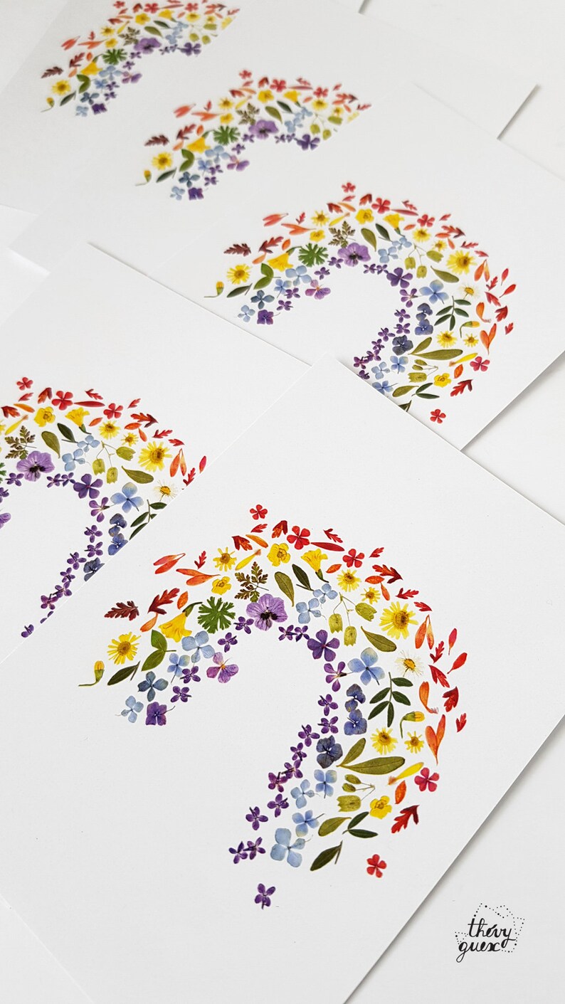 Carte postale arc en ciel impression fleurs séchées multicolores, Fête des Mères, Carte amitié, Carte faire part 4 cartes-enveloppes