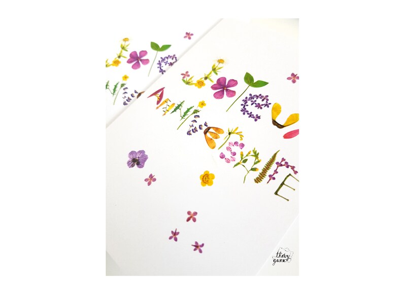 Carte Joyeux Anniversaire botanique fleur herbier, Papeterie florale, Carte de voeux fleur colorée, Livraison gratuite image 4