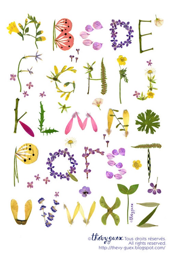 Articles similaires à Alphabet abécédaire illustration herbier fleur