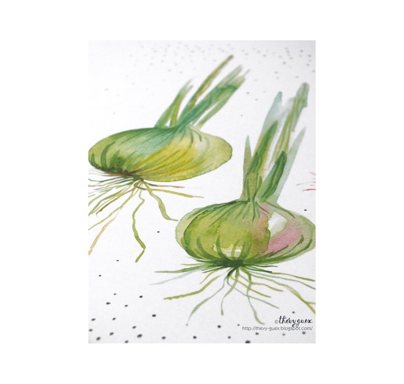 Affiche murale illustrée oignon aquarelle, Décoration légume potager pour la cuisine image 4