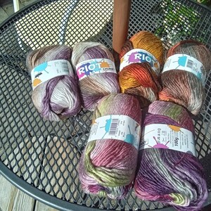 May include: Six skeins of Riot Chunky yarn, each weighing 100g. The yarn features variegated colorways including shades of purple, green, brown, orange, and cream. Each skein is wrapped in a white paper label with the text Riot Chunky printed on it.