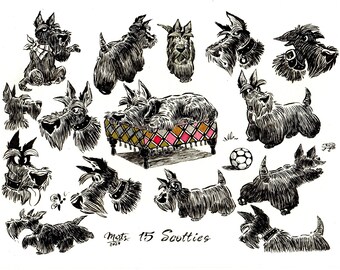 15 Scotties - original ink drawing on A 4 watercolor paper