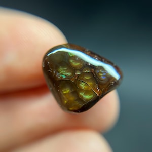 Peut inclure: Une pierre d'agate brune et verte avec un motif unique de cercles concentriques et de tourbillons. La pierre est polie et a une finition brillante.