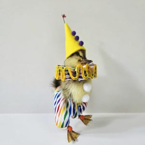 May include: A small duckling dressed in a clown costume featuring a yellow cone hat with purple pom-poms, a ruffled collar with yellow trim, and rainbow-striped pants. Two white pom-poms are attached to the chest, and small orange beads decorate the feet.
