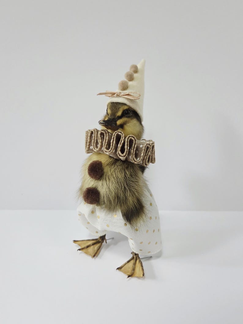 Pierrot Taxidermy Duckling