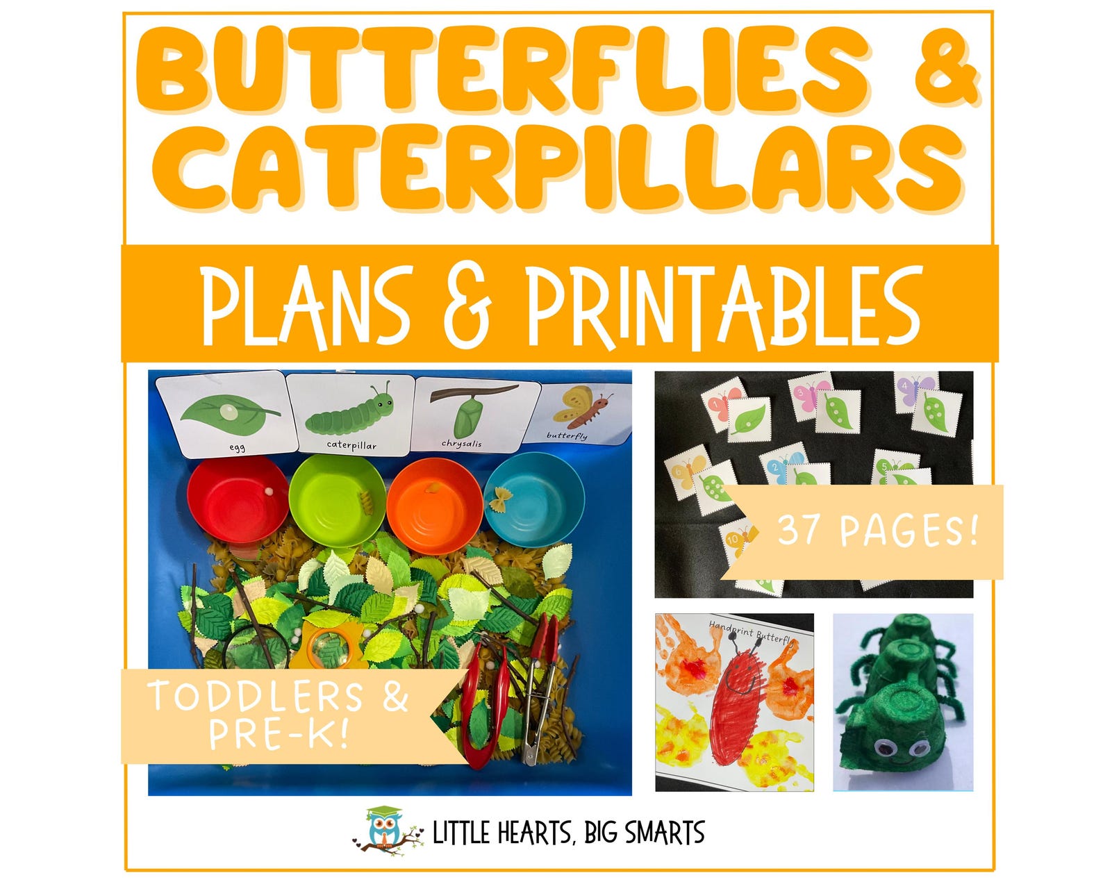 Butterfly Life Cycle Preschool Curriculum: Spring Homeschool Activities ...