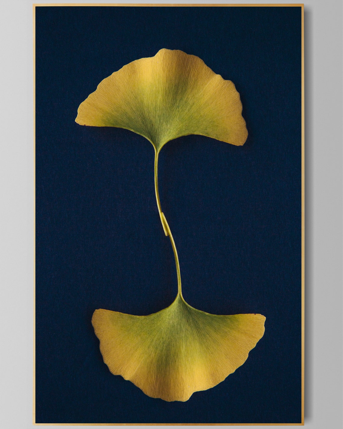 Minimalist Botanical Wall Decor Ginkgo Art Abstract Leaves Etsy