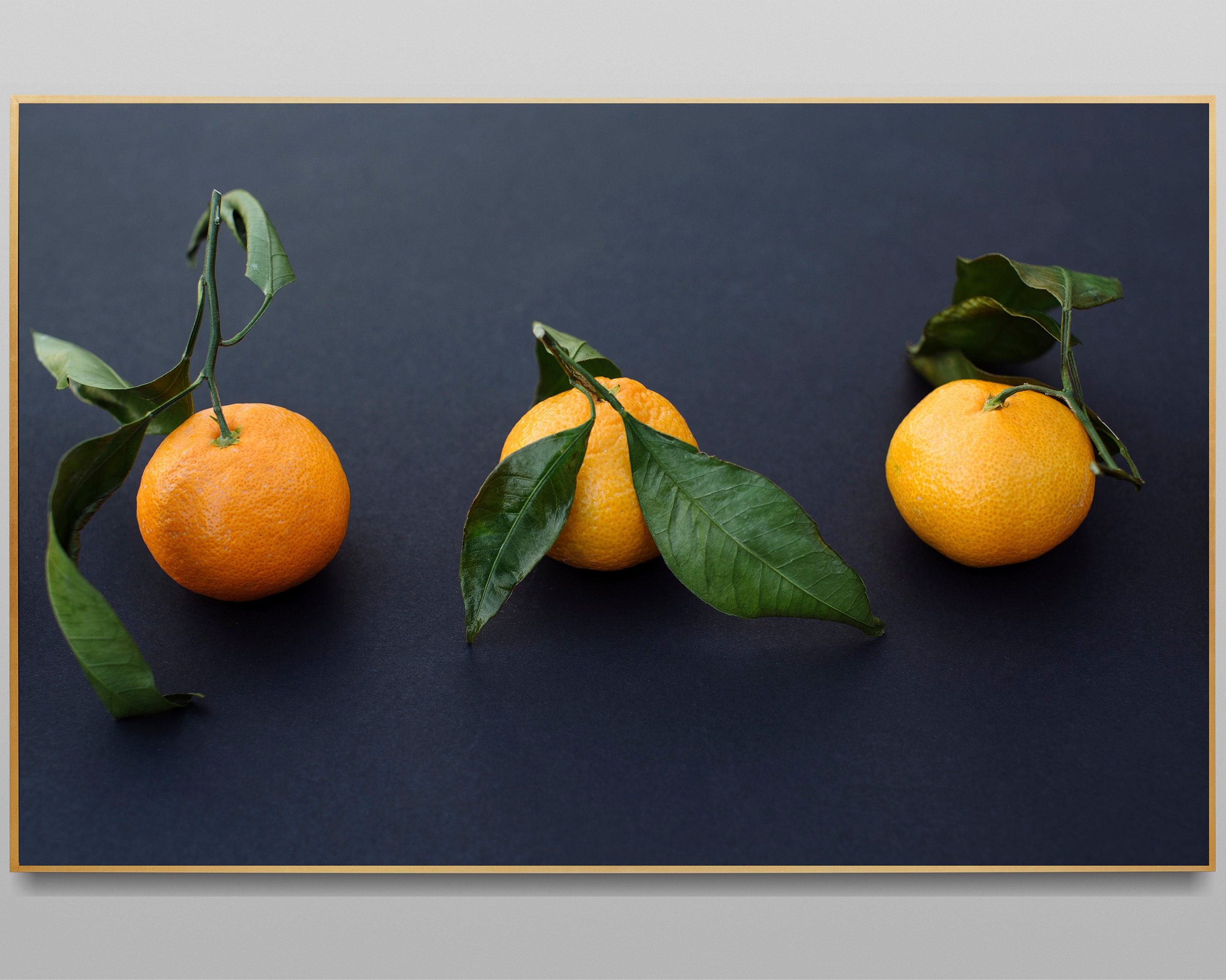Orange Fruit Wall Decor Printable Fruit Art Fruit Wall Art Etsy