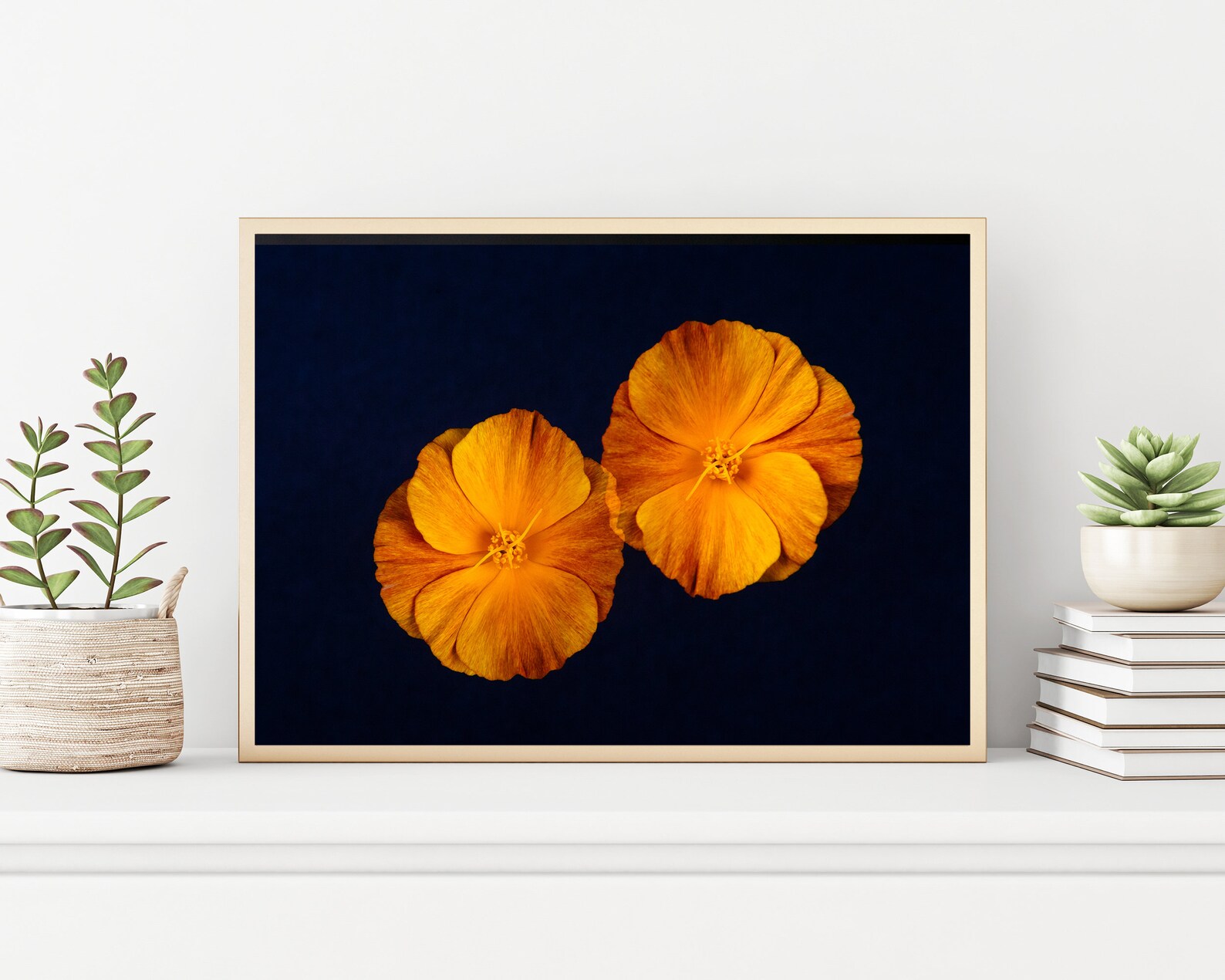 Orange Poppy Wall Art Botanical Art Poppy Wall Decor  Etsy