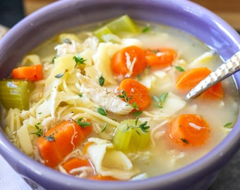 BEST RECIPE For Homemade Chicken Noodle Soup - Healthy, Delicious Meal for Family Dinners - Quick, Simple to Make - PDF Download