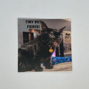 Liten men hård 3-tums klistermärke