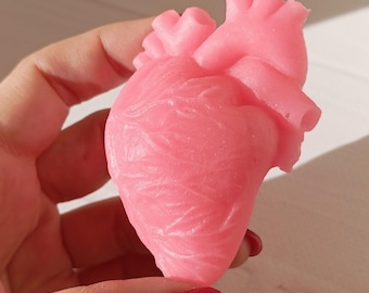Anatomische hartzeep, griezelige Halloween-gunst, gotisch valentijnscadeau, cadeau verpleegster arts med student