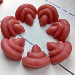 May include: A collection of eight reddish-pink, abstract-shaped objects arranged in a circular pattern. The objects have a smooth, waxy appearance and are set against a light background with blue lines. The shapes vary, with some resembling stylized petals or organic forms.