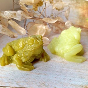 May include: Two frog figurines in shades of green. One is a darker olive green, the other a lighter, almost chartreuse color. The frogs are detailed with textured skin and are posed in a sitting position. The background is blurred with dried plants.