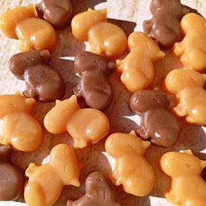 May include: An overhead shot of several candies shaped like capybaras. The candies are in shades of brown and orange, with a glossy finish. The capybara candies are arranged in a random pattern, with some overlapping. The candies are on a light-colored surface.