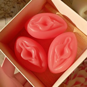 Set di 3 saponi Vulva, bomboniera per addio al celibato malizioso, regalo di Natale sexy con elefante bianco e Babbo Natale sporco