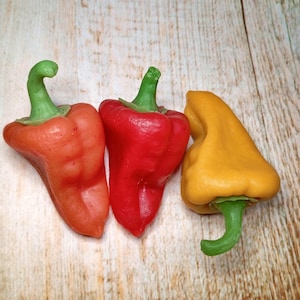 May include: Three bell peppers, one red, one orange, and one yellow, are arranged in a row on a wooden surface.