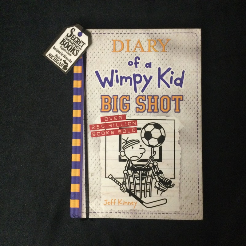 smyths secret safe diary