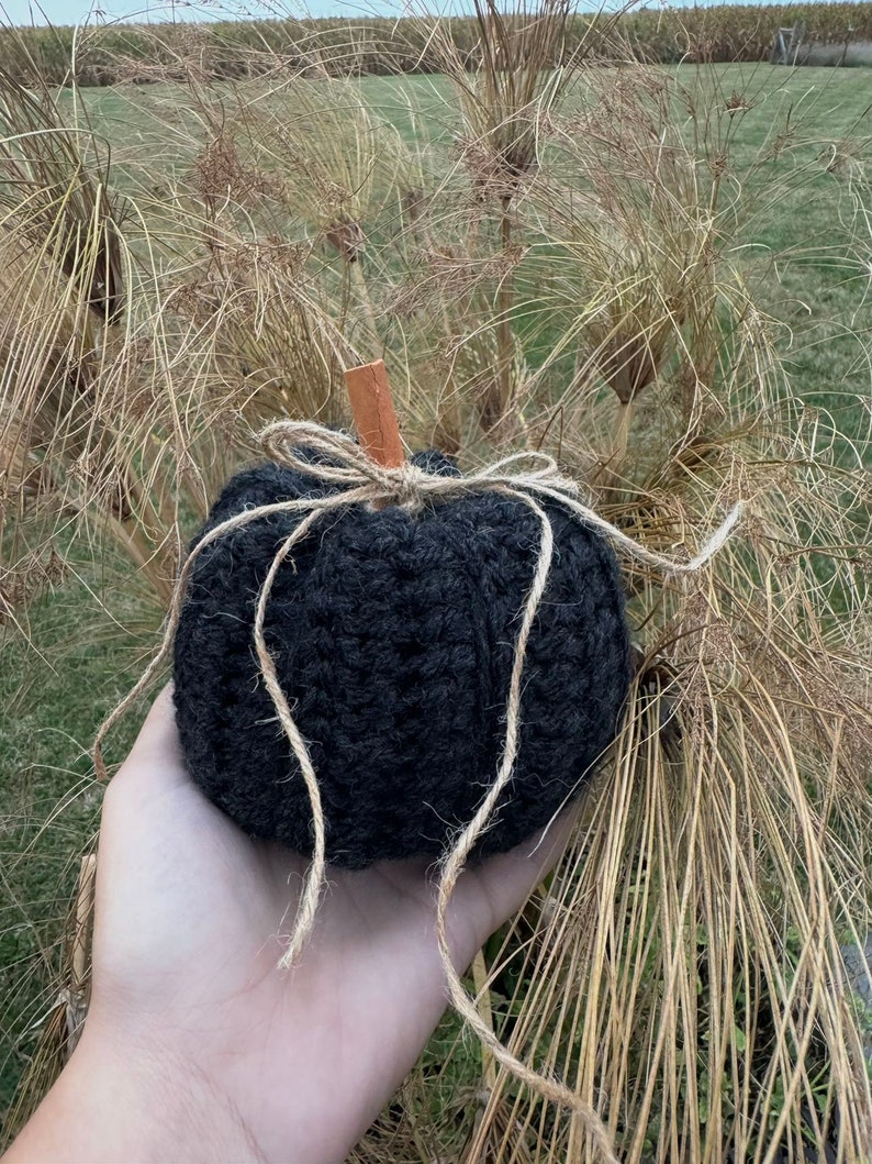 Crochet Pumpkins Etsy