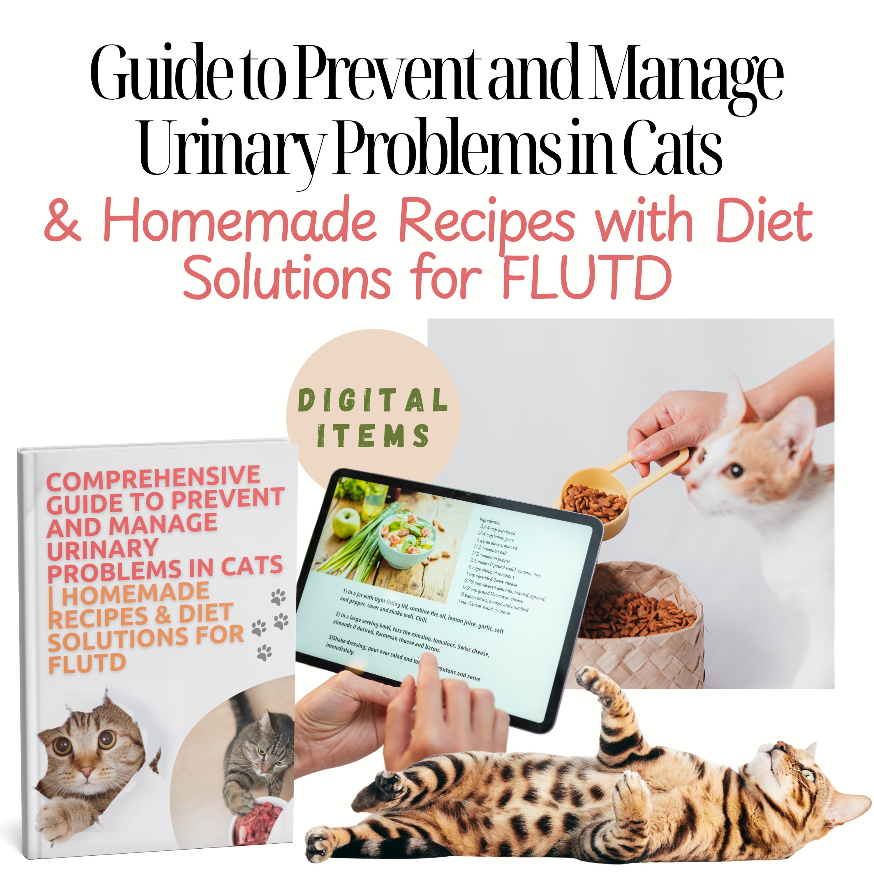 homemade food for cats with urinary problems