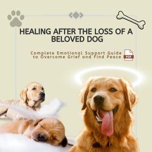 May include: A guide titled "Healing After the Loss of a Beloved Dog: Complete Emotional Support Guide to Overcome Grief and Find Peace" with a PDF icon. The image features three golden retriever dogs, one with a halo above its head.