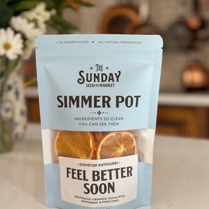 Feel Better Soon Simmer Pot | All Natural Stovetop Potpourri Eucalyptus, Orange, Peppermint, Pinecones
