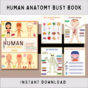 Human Anatomy Busy Book for Kids | Printable Body Parts Activity | Digital Download