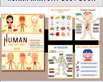 Human Anatomy Busy Book for Kids | Printable Body Parts Activity | Digital Download