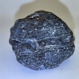 May include: A dark gray rock with layered, textured patterns. The rock has a rounded shape and appears to be a natural stone. The surface has a rough texture with visible lines and variations in color.